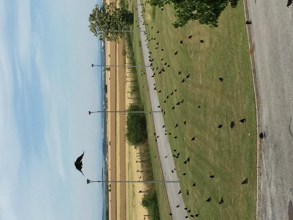 Birdland Villapark Golf ViewBük エクステリア 写真